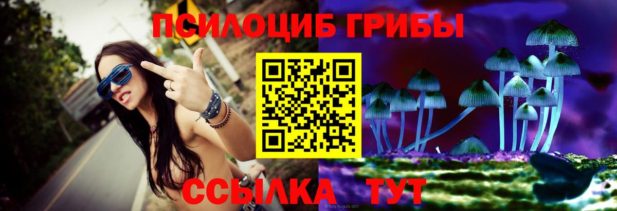 Псилоцибиновые грибы GOLDEN TEACHER  Вход с VPN  Родники  Галлюциногенные грибы мицелий 